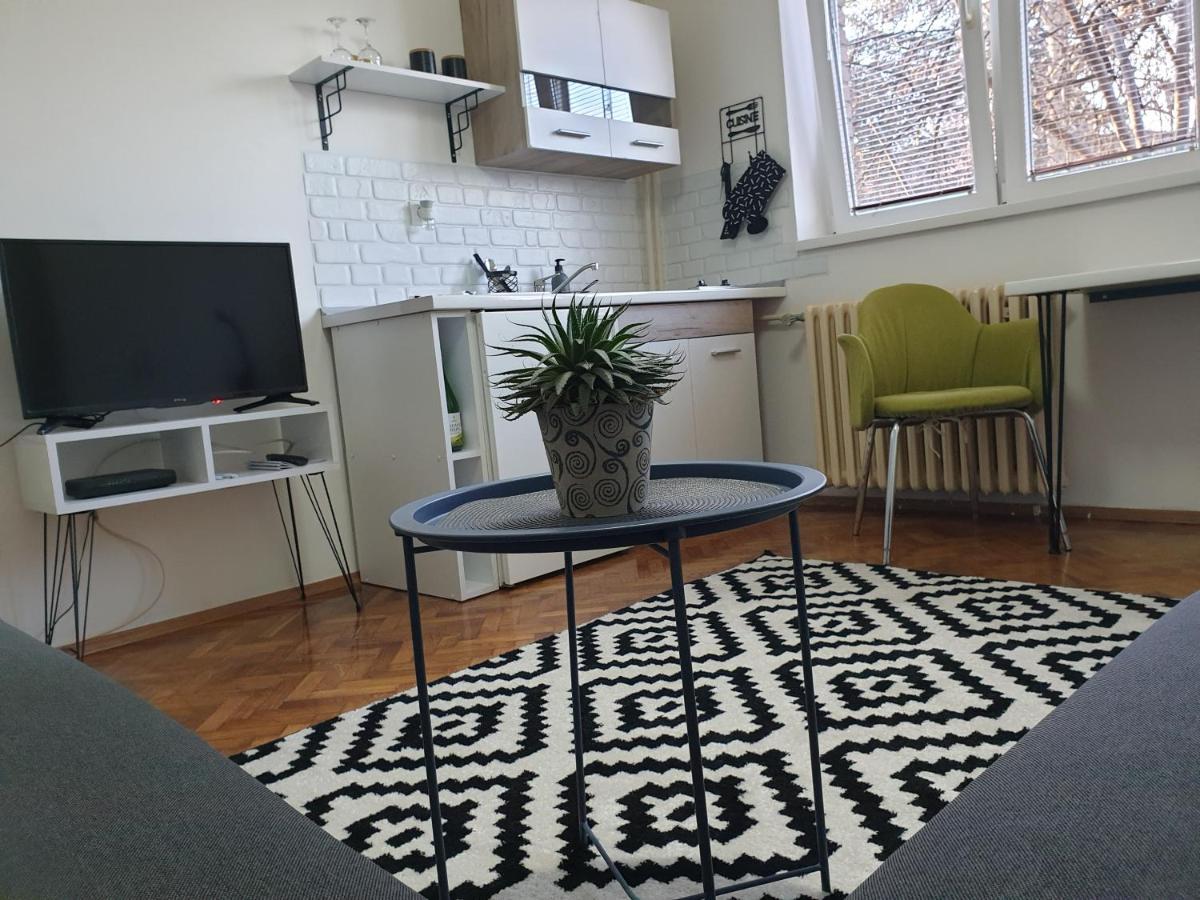 Apartman Park Jagodina-Studio U Centru Grada Екстер'єр фото